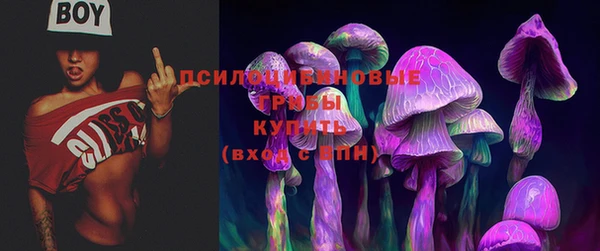 дмт Михайлов