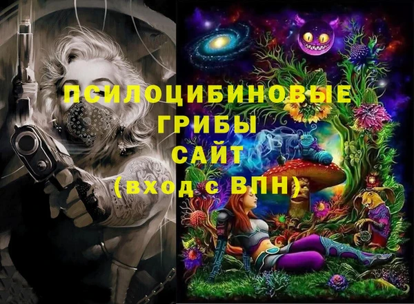 дмт Михайлов