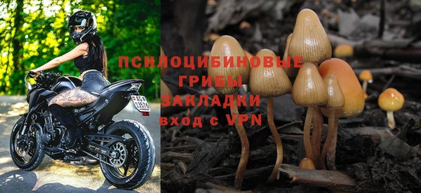 СК Михайловка