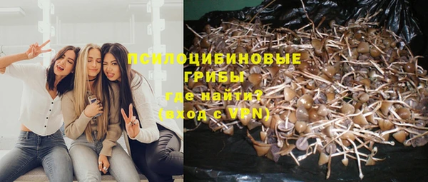 стаф Богородицк